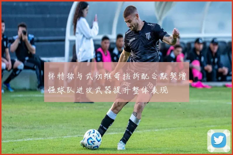 怀特称与武切维奇挡拆配合默契增强球队进攻武器提升整体表现