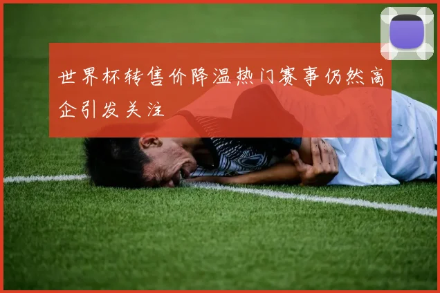 世界杯转售价降温热门赛事仍然高企引发关注